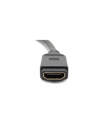 DisplayPort Male to HDMI Female Adapter Cable (17cm)