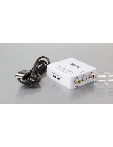 Mini PAL to NTSC Mutual Audio Video Converter