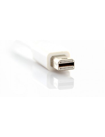 3-in-1 Mini DisplayPort to HDMI / DVI / DisplayPort Adapter Cable
