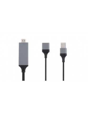 HDMI to USB 2.0 AV Adapter Cable (100cm)