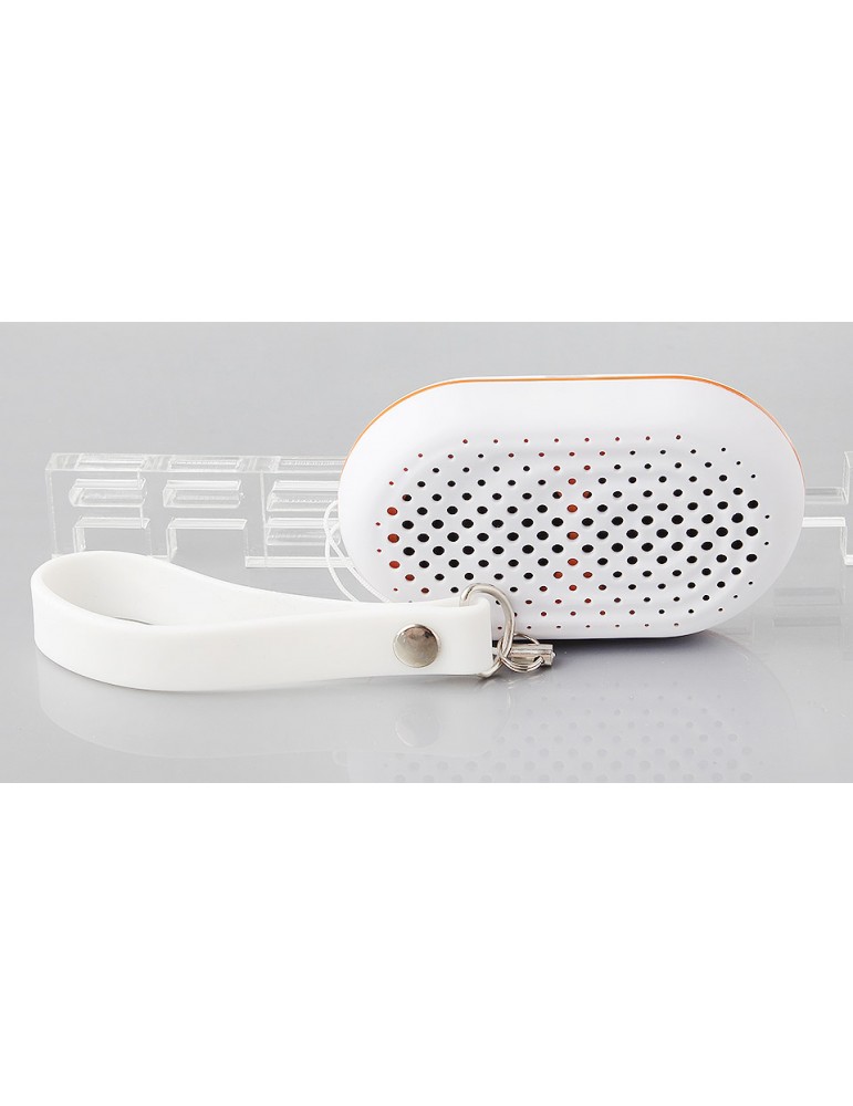 Outdoor Mini Multi-functional Bluetooth V3.0+EDR Speaker